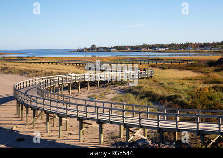 Scenic view of a beautiful sandy beach on the Atlantic Ocean Coast. Taken in La Dune de Bouctouche, New Brunswick, Canada. Stock Photo