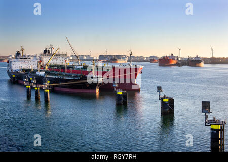 Ships moored in the canal Caland in the port of Rotterdam Stock Photo