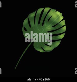 Green monstera leaf. Tropical plant. Realistic vector illustration isolated on black background. Design element for fabrics, invitations, clothes and Stock Vector