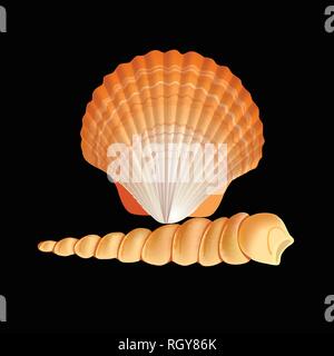 Scallop Seashell Vector. Realistic Scallops Shell Isolated On black Background Illustration Stock Vector