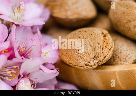 Almonds with shell in wooden bowl, and almond flowers blooming Stock Photo