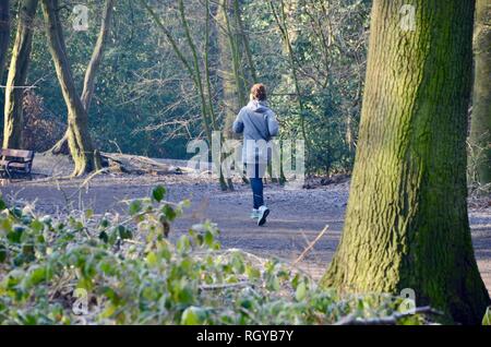 a lone woman jogger runs on a path  in highgate woods north london in winter  UK Stock Photo