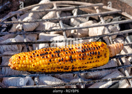 Corn on the cob cooked on hot coals Stock Photo