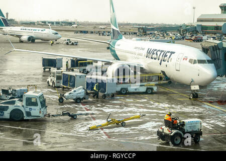 Baggage being unloaded off Wesjet Boeing 737 on tarmac Pearson Airport Toronto, Ontario Stock Photo
