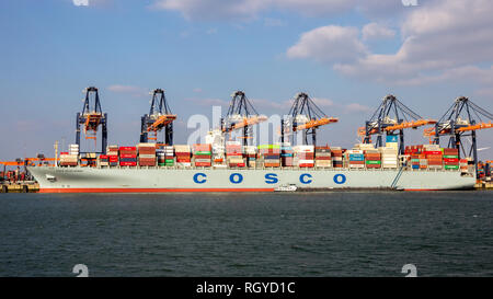 ROTTERDAM - MAR 16, 2016: COSCO container ship being loaded by gantry cranes in the ECT Shipping Terminal in the Port of Rotterdam Stock Photo