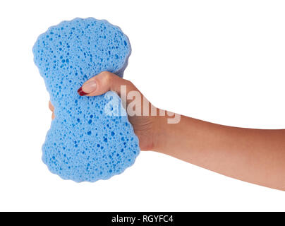 blue sponge in hand isolated on white background