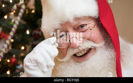 A close up portrait of Santa with a Christmas tree in the background. Stock Photo