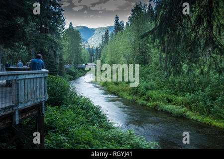 Fish Creek Bear Viewing Platform, Hyder, Alaska Stock Photo