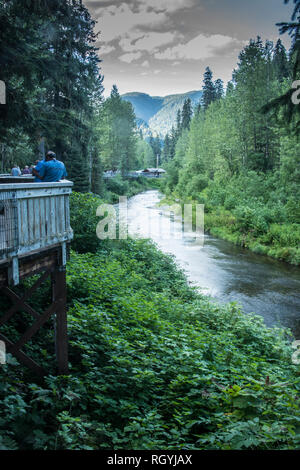 Fish Creek Bear Viewing Platform, Hyder, Alaska Stock Photo