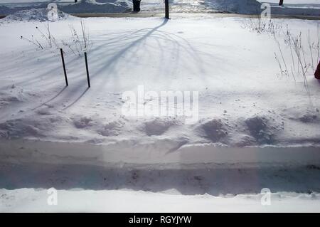 Snow Covered Yard with Shoveled Path for Delivery People after a Snowstorm Stock Photo