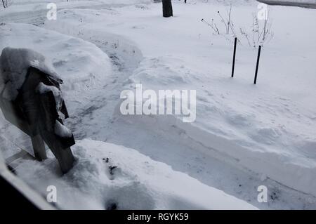 Snow Covered Yard with Shoveled Path for Delivery People after a Snowstorm Stock Photo