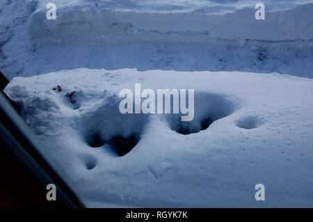 Snow Covered Yard with Shoveled Path for Delivery People after a Snowstorm Stock Photo