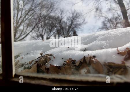 View from Window of Snow on Bushes with Trees in Background Stock Photo