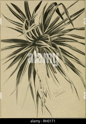Hinano hi-res stock photography and images - Alamy