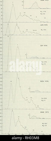. Bulletin. Science; Natural history; Natural history. 1976 LIFE HISTORY OF FRESHWATER LAMPREYS 103. 40 60 60 100 LENGTH (mml Figure 2. Lenglh-fiequency curves for animocoetes, transformers, anil atliills of Okkclheiwiu acpyplcru from Bright's Branch, Sussex County, Delaware. Data were smoothed by sliding averages of 7 mm. Stippled area in March 1974, 1975 represents adults; that in September. November 1974 represents transformers. Ni—Number of animocoetes: N^—Number of adults: N:i—Number of transformers. group modes of the March 1974 and March 1975 samples. As Hardisty and Potter (1971a) poin Stock Photo
