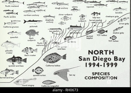 . Bulletin. Science. a 3) ISSN 0038-3872 SOUTHERN CALIFORNIA ACADEMY OF SCIENCES BULLETIN Volume 101 Number 2 &quot;^.''&quot;'Vv^^e-^J. NORTH San Diego Bay 1994-1999 SPECIES COMPOSITION BCAS-A101(2) 49-102 (2002) CALIFORNIA ACADEMY OF SCIENCES AUG 14 2002 LIBRARY AUGUST 2002. Please note that these images are extracted from scanned page images that may have been digitally enhanced for readability - coloration and appearance of these illustrations may not perfectly resemble the original work.. Southern California Academy of Sciences. Los Angeles, Calif. : The Academy Stock Photo