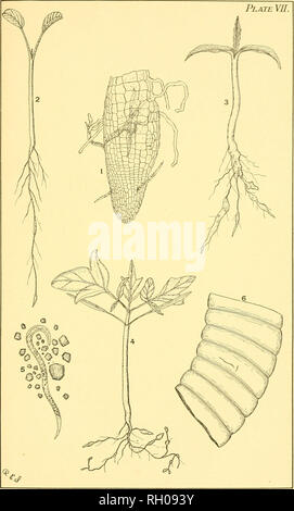 . Bulletin. Agriculture -- Massachusetts Periodicals; Fertilizers -- Analysis Periodicals. . Please note that these images are extracted from scanned page images that may have been digitally enhanced for readability - coloration and appearance of these illustrations may not perfectly resemble the original work.. Hatch Experiment Station. [S. l. : s. n. ]