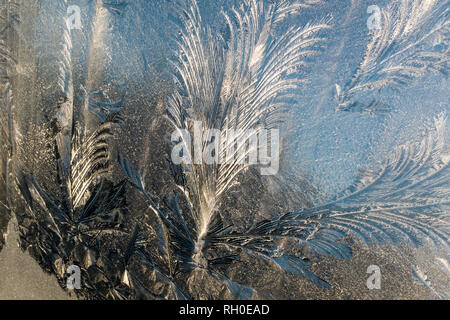 Upper Wield, Hampshire, UK. 31st Jan, 2019. Frost patterns on a window create an ethereal image of a frozen forest. Credit: Paul Markillie/Alamy Live News Stock Photo