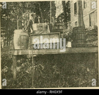 . Bulletin. Agriculture -- New Hampshire. SPRAYING THE APPLE ORCHARD. 49 form was built on a side hill along the roadway and near the water supply. On either side is the barrel of stock solution of lime and bluestone. In the middle is a large box lined with zinc and holding slightly over a barrel, which is raised above the platform and from, the lower end of which leads a hose. On top of this tank, are two half bar-. FiG. 3Z:—The platform and tanks for making Bordeaux mixture. rels, each of which has a hole in the bottom plugged l)y a stick, which reaches up above the top of the half barrel. T Stock Photo