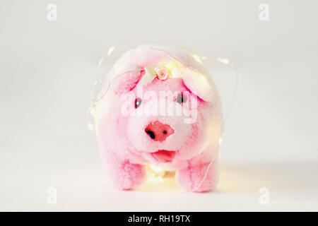 Symbol of 2019 chinese new year yellow ground pig on holiday festive background Stock Photo