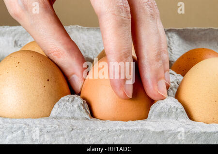 Close up of female hand taking a chicken egg from a cardboard egg box. Stock Photo