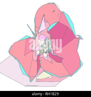 pink crocus flower blossom, plain color sketch, vector illustration Stock Vector