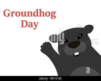 Groundhog on a white background. Stock Vector