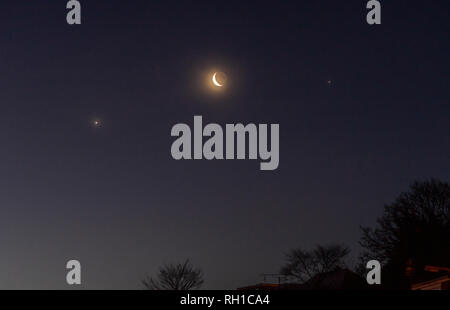 Venus, the moon and Jupiter in the dawn sky over woodland Stock Photo