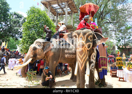 SURIN, THAILAND, MAY 9, 2017 : Ordination Parade on Elephantâ€™s Back Festival is when elephants parade and carry novice monks on their backs. This ev Stock Photo