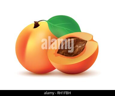 Half and whole Peach fruit illustration - Vector icon isolated on white. Stock Vector