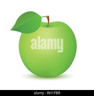 Apple fruit green color, Realistic vector icon illustration isolated on white background Stock Vector