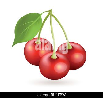 Cherry realistic vector icon isolated on white Stock Vector