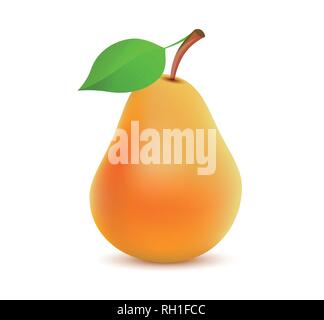 Single whole orange Pear color on white background - Vector realistic illustration of tasty juicy fruit. Stock Vector