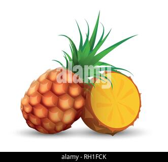 Whole pineapple with half sliced piece of ananas - Vector illustration on white background. Stock Vector