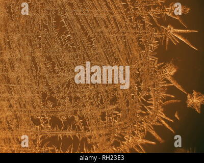 Gold colored image based on window frost. Stock Photo