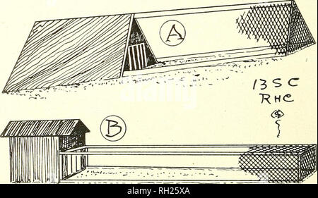 . Built and used by poultrymen;. Poultry. Built &amp; Used by Poultrymen. Mr. Crosby's Inexpensive Coops and Runs. Please note that these images are extracted from scanned page images that may have been digitally enhanced for readability - coloration and appearance of these illustrations may not perfectly resemble the original work.. Chicago, Ill. , The Big four poultry journal Stock Photo