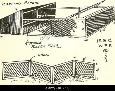 . Built and used by poultrymen;. Poultry. Coops, Runs, Pens nailed together. The sides and one end are covered with 1-in. mesh netting and the top with 2-in. mesh netting. A hinged door is placed in one end for feeding and watering the chicks. The runs are 12 ft. long, 3 ft. wide and 3 ft. high. This is sufficiently large for a flock of chicks until the)' are old enough to be out of danger of the cats, when they can be removed to colony houses. As the -gOOFfHG- PAPEKs. Mr. Roberts' Coop and Fence runs are light they are easily moved from place to place every few days. This gives the chicks fre Stock Photo