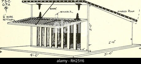 . Built and used by poultrymen;. Poultry. Coops, Runs, Pens high at the back. The floor is made of good matched lumber as is also the roof, it being covered with roofing paper. The roof is arranged so that it can be taken off for convenience in cleaning. Mr. Jensen has it with cleats on the inside and fastened down with two hooks, but you can hinge it, if you prefer. The door is 8 x 12 in. The slide clears a 4-in. opening 21 in. long. He also N»Et&gt; Roo* I. 4-0&quot; Mr. Albeck's Convenient and Safe Brood Coop The coop is not attached to the floor, but can be lifted and placed to one side. T Stock Photo