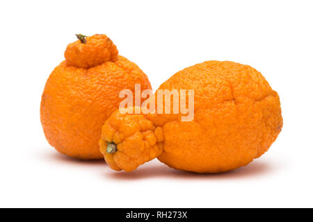 Dekopon fruit on white background Stock Photo