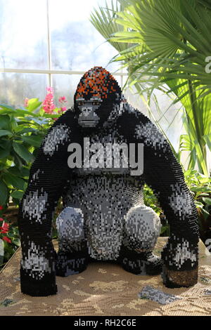 Great Brick Safari 2019, Silverback Gorilla made of Lego, RHS Garden Wisley,  Woking, Surrey, England, Great Britain, United Kingdom, UK, Europe Stock  Photo - Alamy