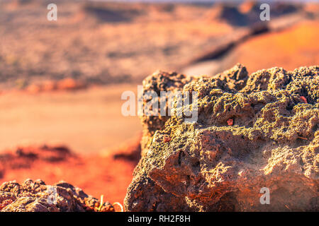 Close up of volcanic rock with blurred red desert background in Lanzarote Stock Photo