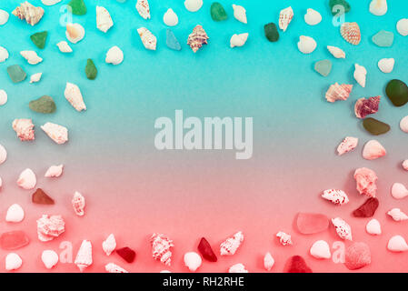 Different sea shells on live coral background. Top view flat lay Stock Photo
