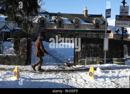 A person walks dogs through the village of Braemar in the Scottish Highlands after the village was one of the coldest places in the UK last night as temperatures dropped to almost -15C. Stock Photo