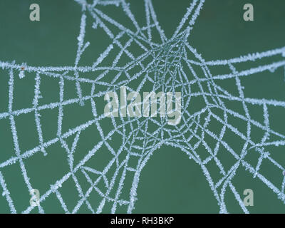 Frozen spider's web macro with ice crystals and a green background Stock Photo