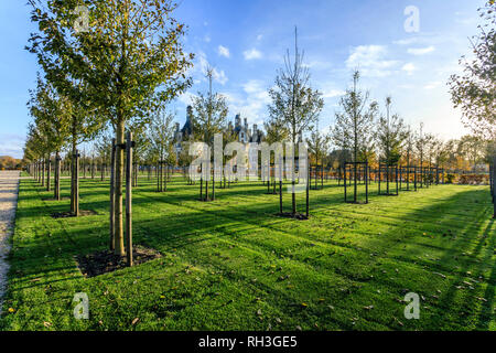 France, Loir et Cher, Chambord, Chambord castle, the French formal garden or the jardin a la française, wild cherry (Prunus avium) // France, Loire-et Stock Photo