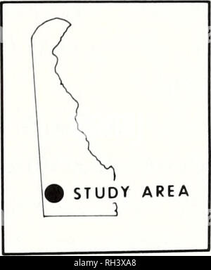 . Brimleyana. Zoology; Ecology; Natural history. Cottus Life History in Delaware 73. i N 0 .5 1.0 Kl LOMETERS ...... indicates distri- bution of Cottus bairdi in Butler Mill Branch and tributaries • •• — indicates sampling SEAFORD -no 7T SAMPLING Fig. 1. The Butler Mill Branch system near Seaford, Sussex County, Delaware, showing Cottus bairdi distribution and sampling area. clear, is turbid after rain. Temperature in the sampling area ranged from 5.5° C (February) to 20.0° C (July), pH from 5.7 to 7.0 (typically 6.5), and dissolved oxygen concentrations from 9.1 to 12.8 ppm. Stream flow data Stock Photo