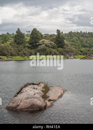 Ephemeral wetland in summer, beautiful peaceful landscape, natural environment, Lake Kiriopukae, Te Urewera National Park, North Island, New Zealand Stock Photo