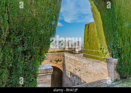 Beautiful view of a green bush in front of some stone stairs of a part of the Alhambra in Granada Spain on a sunny day with a blue sky Stock Photo