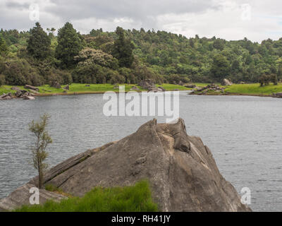 Ephemeral wetland in summer, beautiful peaceful landscape, natural environment, Lake Kiriopukae, Te Urewera National Park, North Island, New Zealand Stock Photo