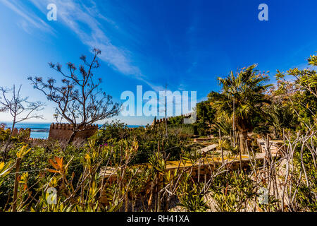 View of the gardens with palm trees, trees and plants in the Alcazaba in Almeria, sunny day with blue sky and the ocean in the background in Spain Stock Photo